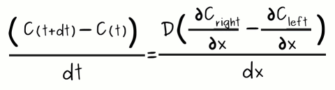 (((-D dCleft/dx) - (-D dCright/dx)))/dx = (C(x,t+dt) - C(x,t))/dt