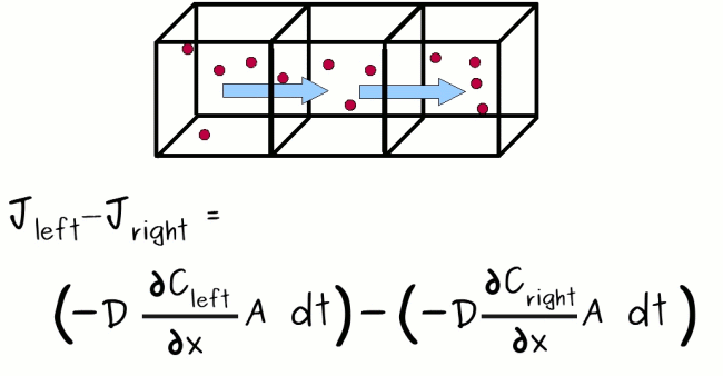 (-D dCleft/dx) A dt - (-D dCright/dx) A dt